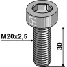 Boulon à 6 pans creux - M20x2,5 - 10.9 - Celli - 422003
