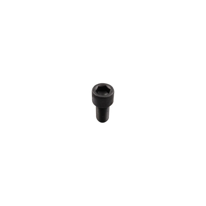 Boulon à 6 pans creux - M20x2,5 - 10.9 - Celli - 422002
