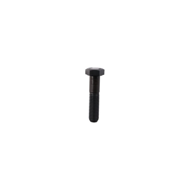 Boulon à tête hexagonale M12x1,75x55 sans écrou - Lemken - 3013385