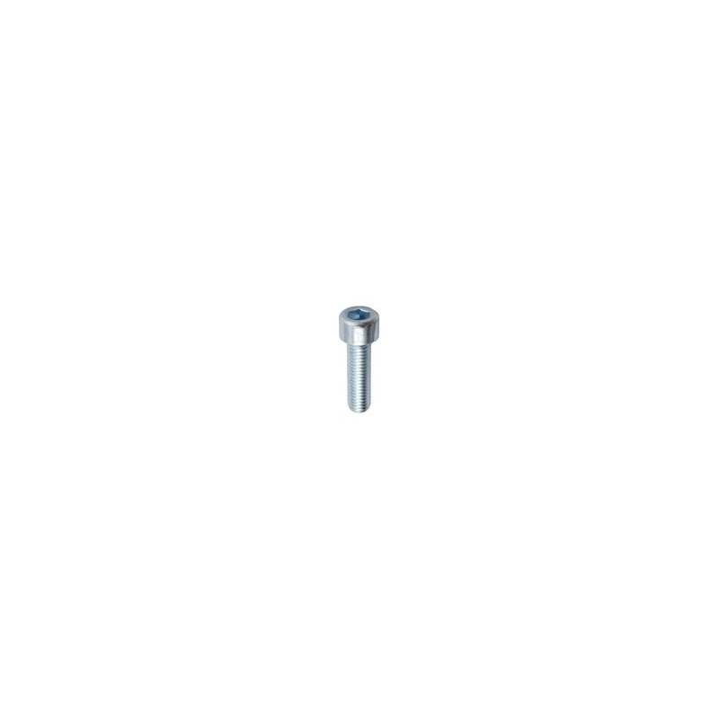 Boulon à 6 pans creux M10x1,5x35 - Galvanisées