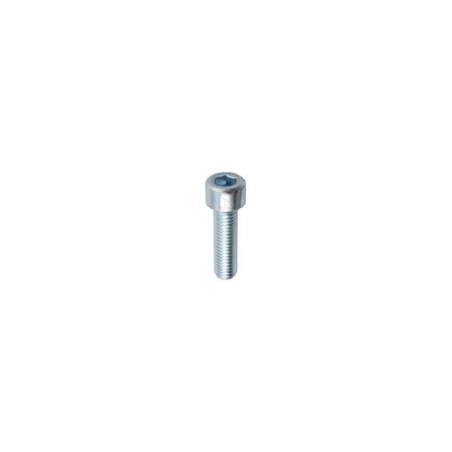Boulon à 6 pans creux M10x1,5x35 - Galvanisées