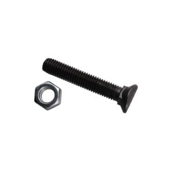 Boulon de cultivateur - M12x70 - 10.9