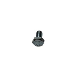 Boulon M6 galvanisé - Lemken - 3013015