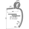Dent double spire, gauche