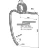 Dent double spire, droite