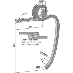 Dent double spire, gauche