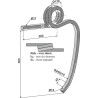 Dent double spire, gauche
