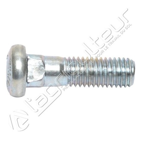Boulon CC M12x42 10.9 Vaderstad