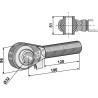 Borne M42x3 - 120