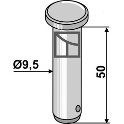 Piton - Case