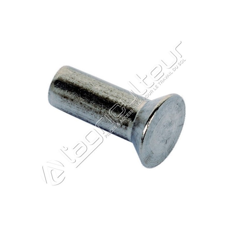 Rivet tête fraisée à 120° D6x25 597565