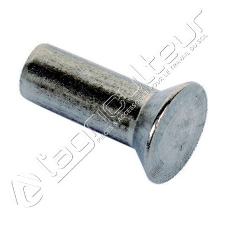 Rivet tête fraisée à 120° D6x20 597564
