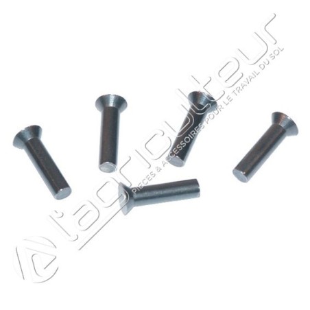 Rivet Tête fraisée 6x20 DIN 661 0,5kg