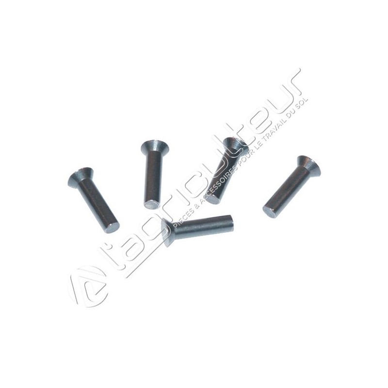 Rivet Tête fraisée 6x26 DIN 661 0,5kg