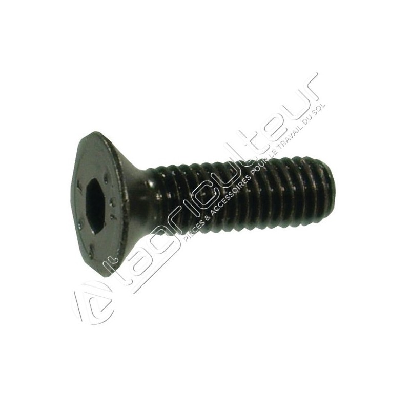 Vis M24x3