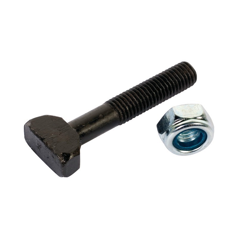 BOULON TETE GENDARME 10X65 8.8 TYPE RAU RG031301 - RG031301