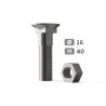 Boulon tête fraisée collet carré Tfcc