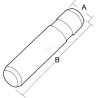 Piton J250 adaptable pour décompacteur Gascon