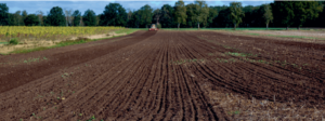 apercu des differentes techniques de semis souspaillage strip till et semis direct