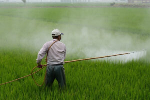 herbicide glyphosate 1