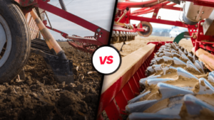 herse etrille vs rotative