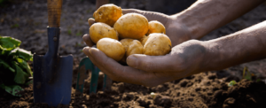 lagriculture bio