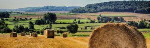 moisson2017