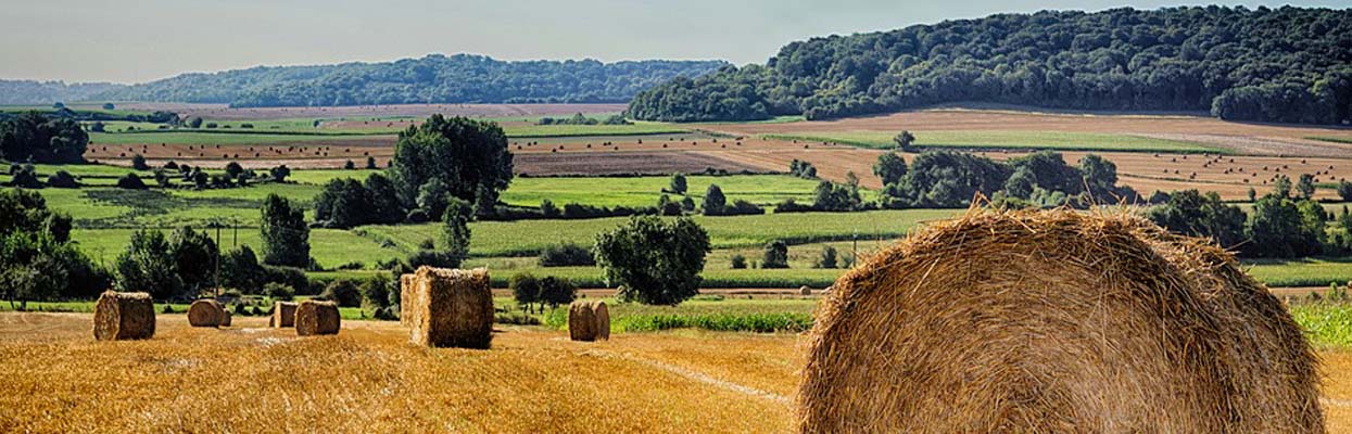 moisson2017