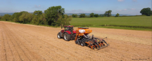 mzuri
