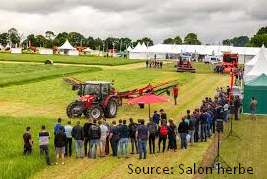 salon herbe