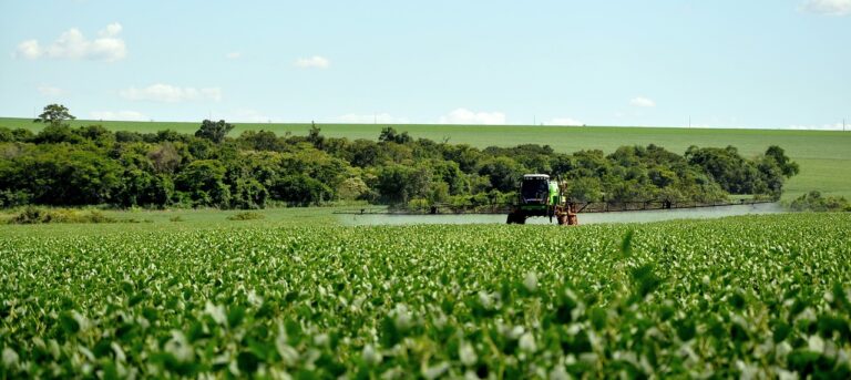 agriculture 4472766 1280