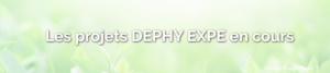 dephy