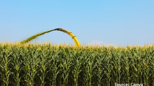 ensilage