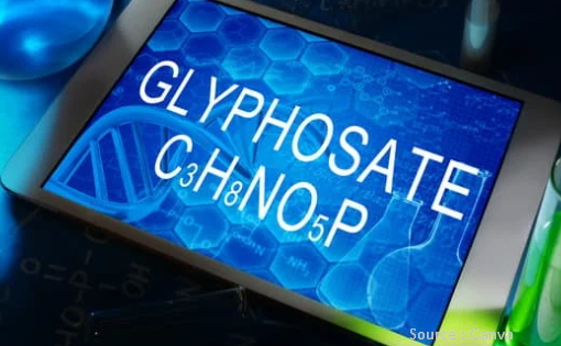 glyphosate